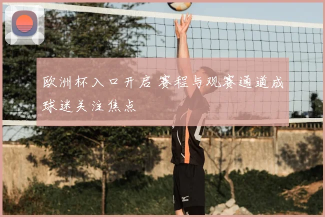 欧洲杯入口开启 赛程与观赛通道成球迷关注焦点