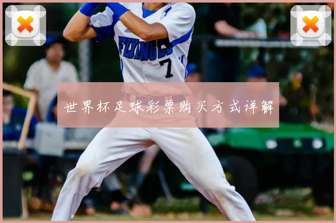 世界杯足球彩票购买方式详解