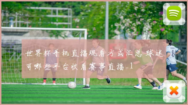 世界杯手机直播观看方式汇总 球迷可哪些平台收看赛事直播_1